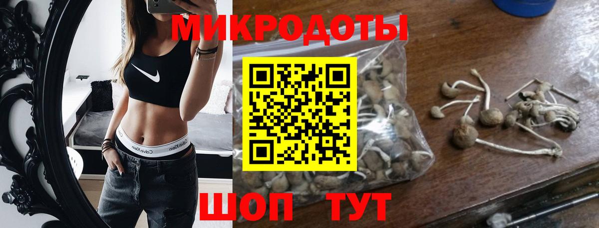 Галлюциногенные грибы Psilocybine cubensis  Вход с VPN  Борзя 