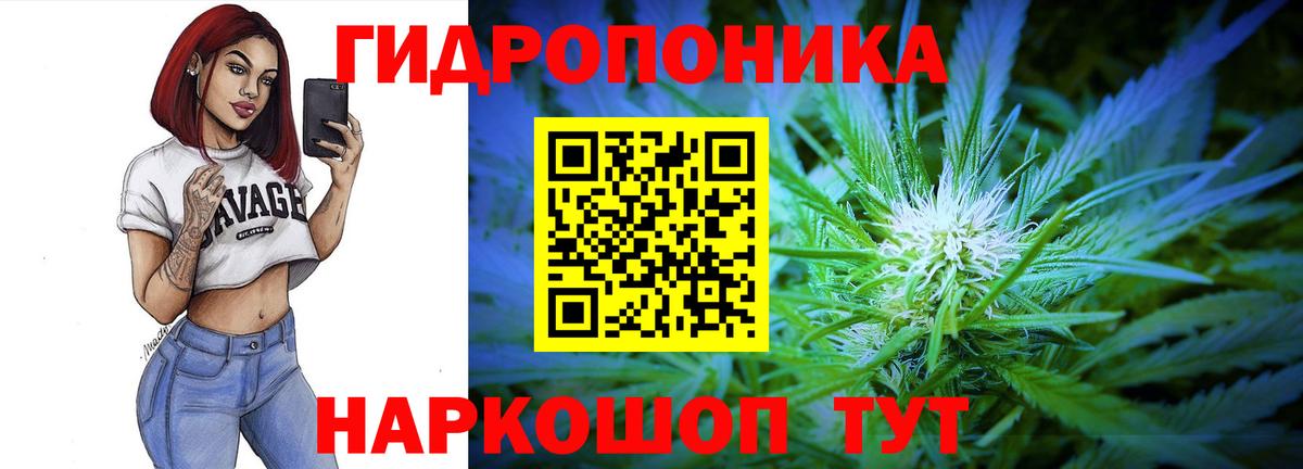 Марихуана планчик Борзя
